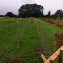 stock-fencing-5