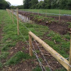 barbed-wire-fencing